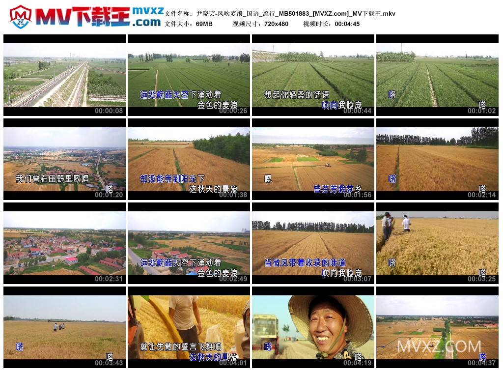 尹晓芸-风吹麦浪_国语_流行_MB501883